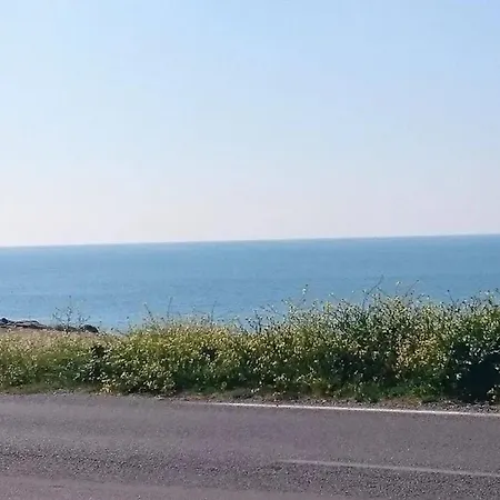 Daire : 2 Pieces En Bord De Avec Terrasse - Fr-1-843-38