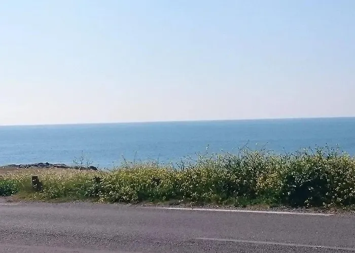 Appartement : 2 Pièces En Bord De Avec Terrasse - Fr-1-843-38